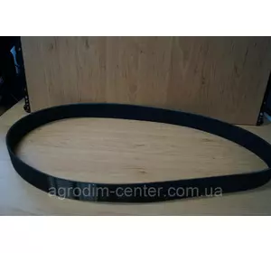 Пас 18PJ 1397 Пас 18PJ 1397