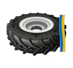 Шина 480/70R30(19.5LR30) Galaxy Earth-Pro 700 Шина 480/70R30(19.5LR30) Galaxy Earth-Pro 700